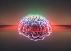 Electrical waves on brain