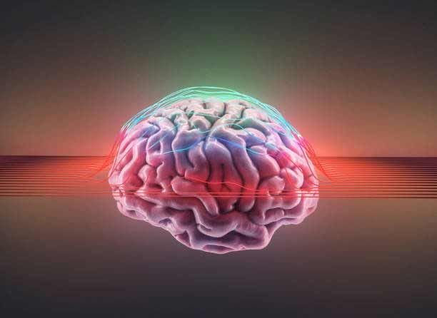 The Neu-Metric In Marketing: Brain Activity