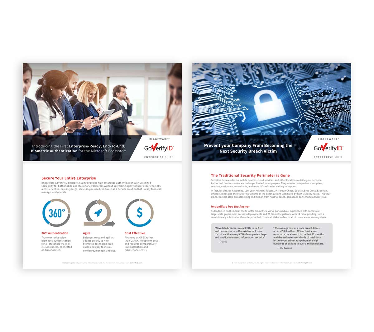 b2b Marketing Sell Sheets: Secure your Entire Enterprise, The Next Security Breach Victim