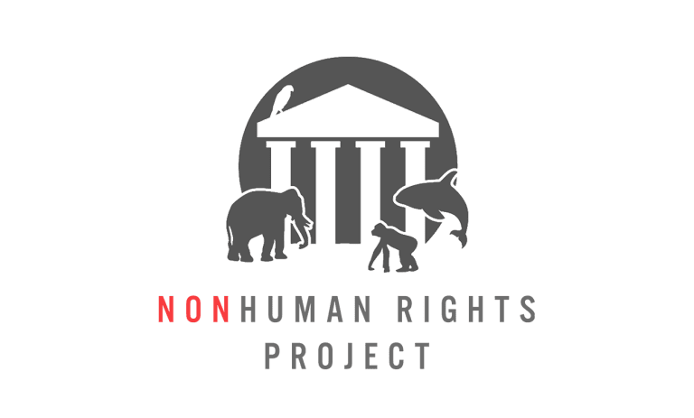 09-NhRP-COLOR.png